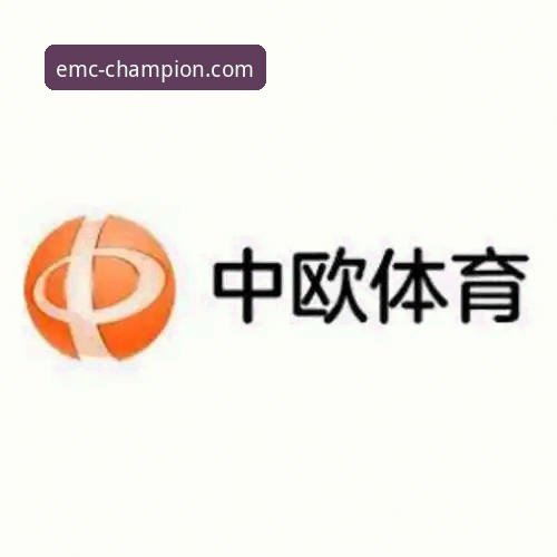 易倍体育平台使用必备知识：官方APP下载、安全性与赛事服务全解析